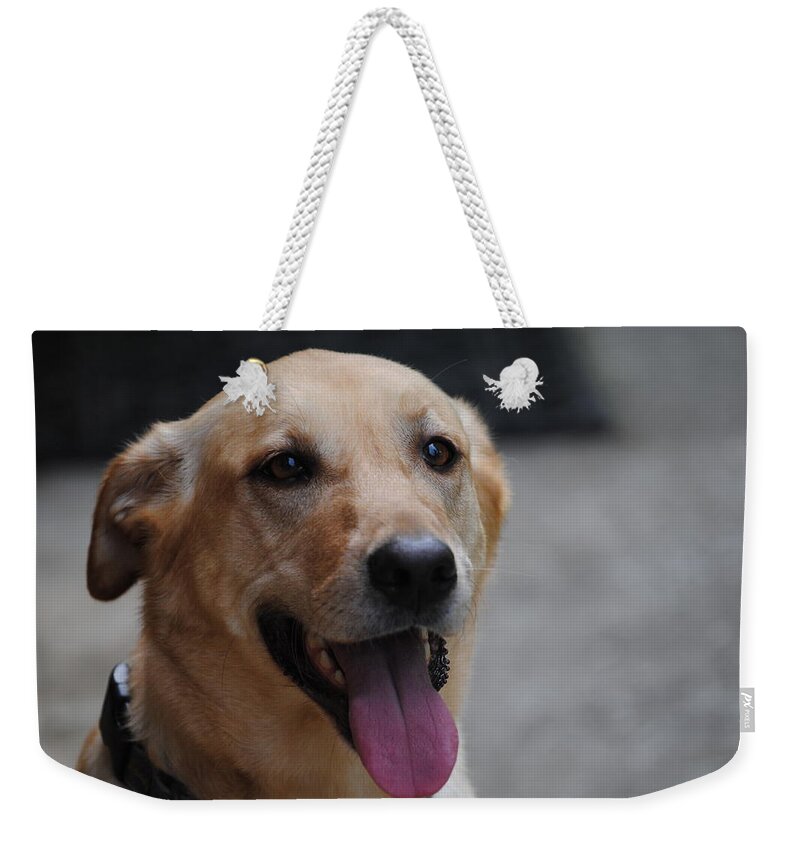 Pet Weekender Tote Bag featuring the photograph My Dog Ubu by Eric Liller
