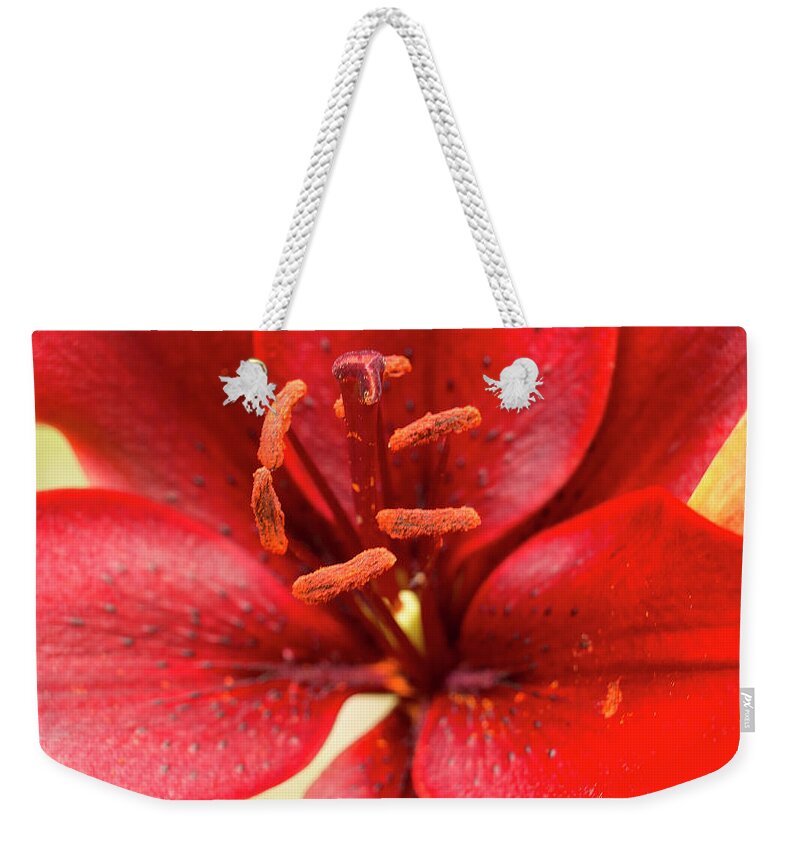 Red Weekender Tote Bag featuring the photograph My freckled friend. by Elena Perelman