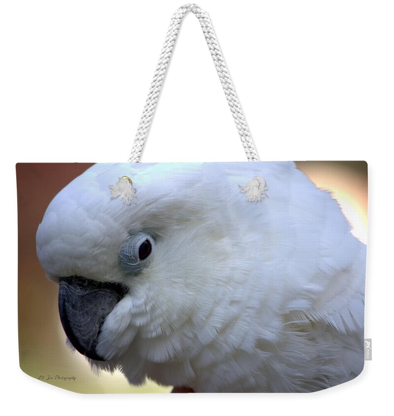 Rudy Weekender Tote Bag featuring the photograph My Friend Rudy by Jeanette C Landstrom