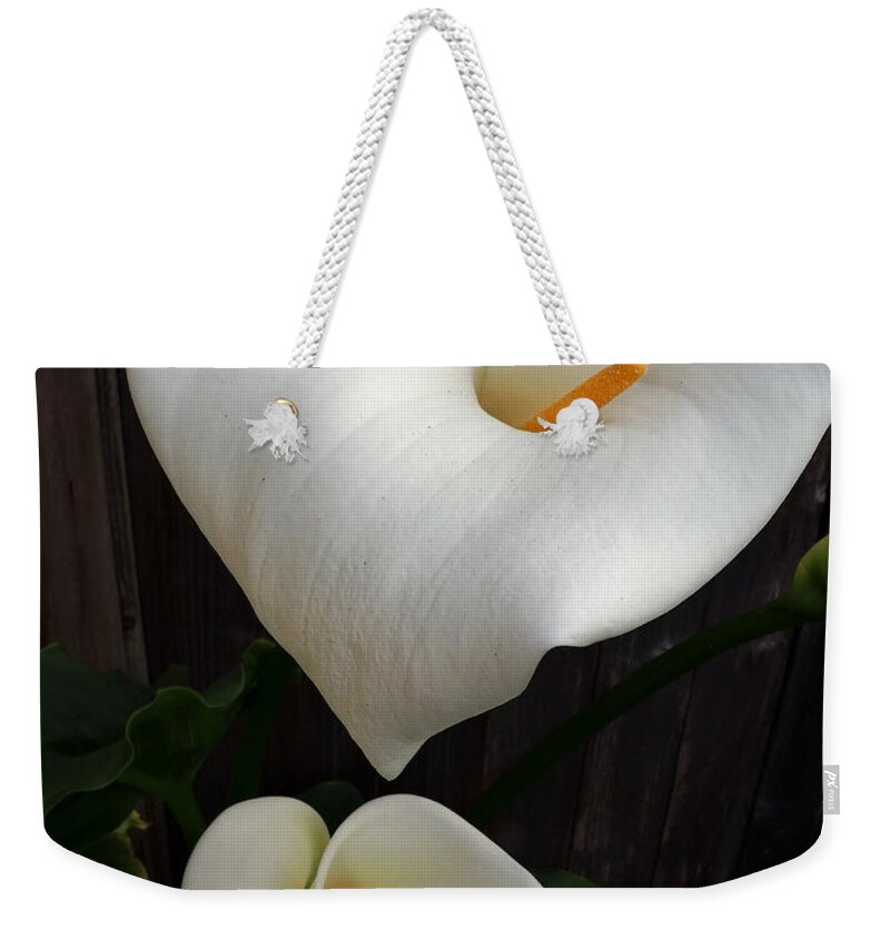 Botanical Weekender Tote Bag featuring the photograph My Heart Calla Lilies by Richard Thomas