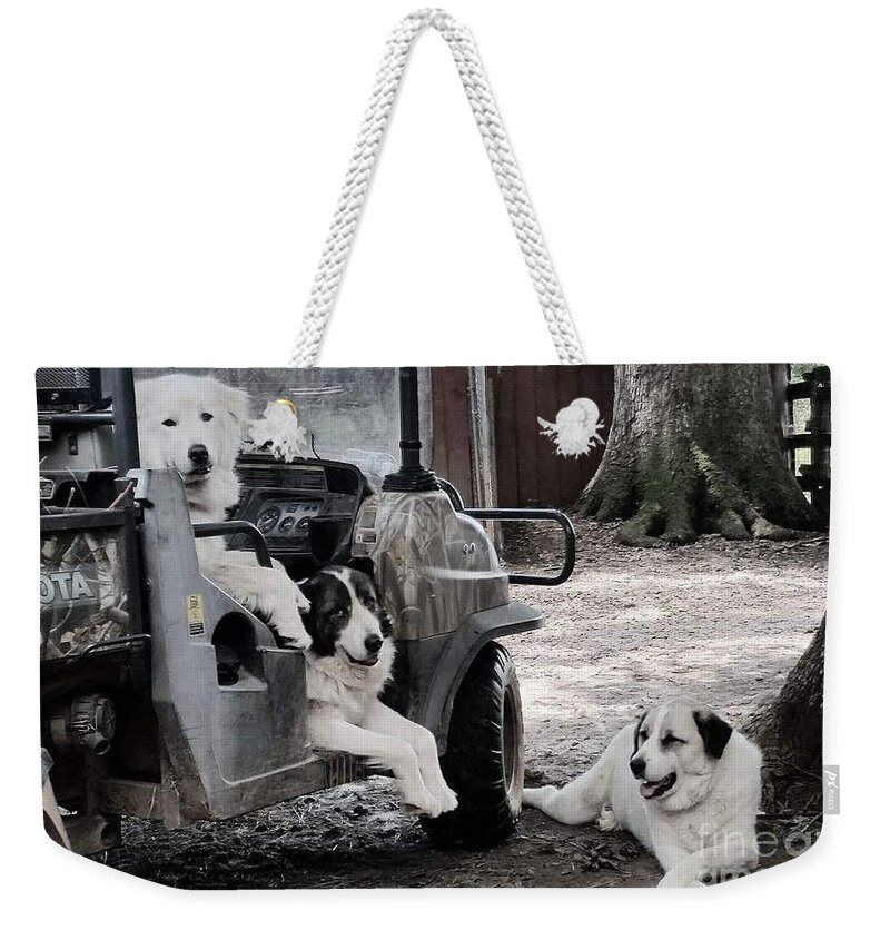 Dogs Weekender Tote Bag featuring the photograph My Helpers by Rabiah Seminole