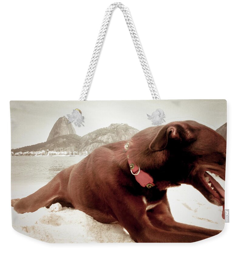 Rio De Janeiro Weekender Tote Bag featuring the photograph My Pet by Cesar Vieira