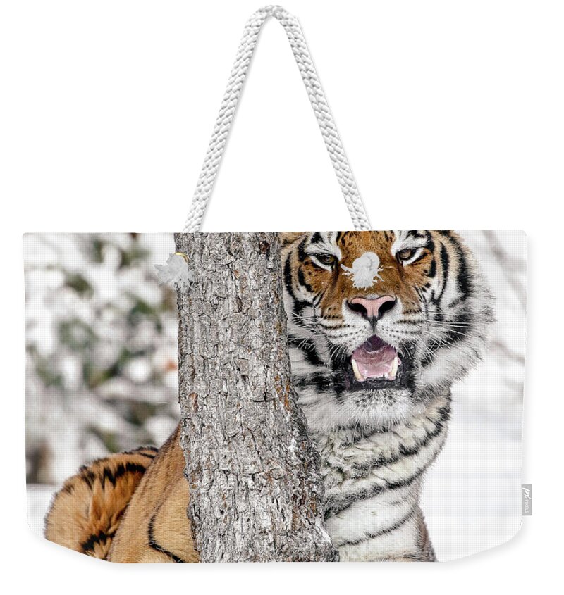 Tiger Weekender Tote Bag featuring the photograph MY Tree by Athena Mckinzie