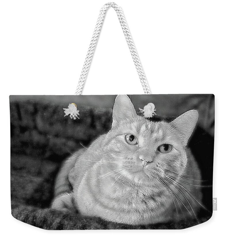 Llinois Weekender Tote Bag featuring the photograph My True love revisited by Luther Fine Art