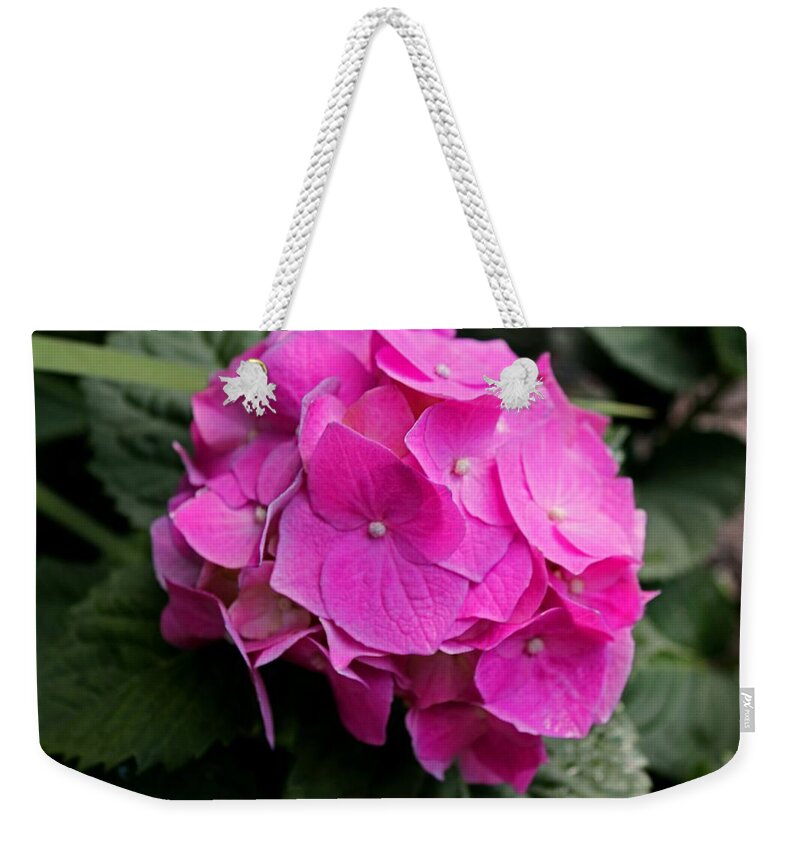Hydrangea Weekender Tote Bag featuring the photograph Mystical Mirage by Michiale Schneider