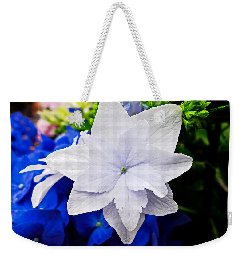 Nagasaki Weekender Tote Bag featuring the photograph Nagasaki Floral Study 1 by Robert Meyers-Lussier