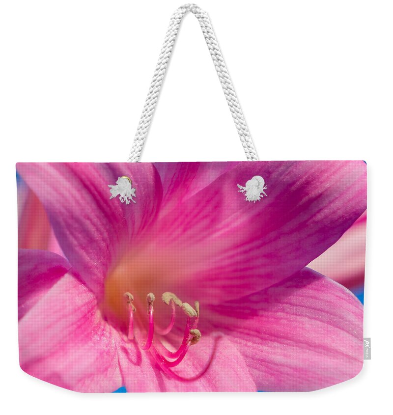 Flower Weekender Tote Bag featuring the photograph Naked Lady by Derek Dean