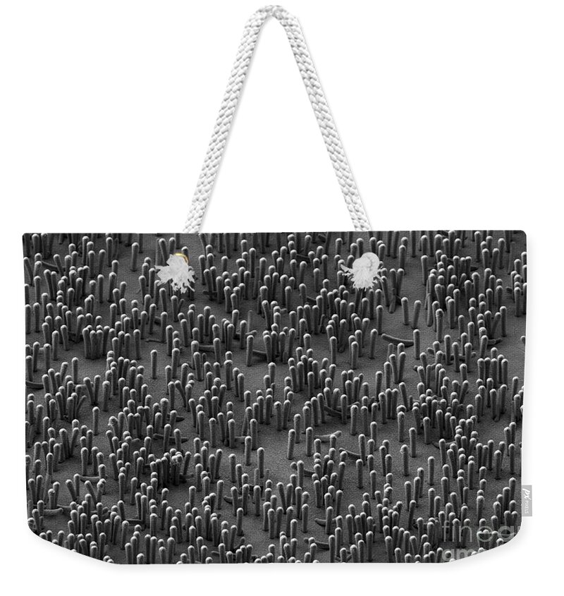 Science Weekender Tote Bag featuring the photograph Nanowire Lithium-ion Batteries, Sem by Oleshko/NIST