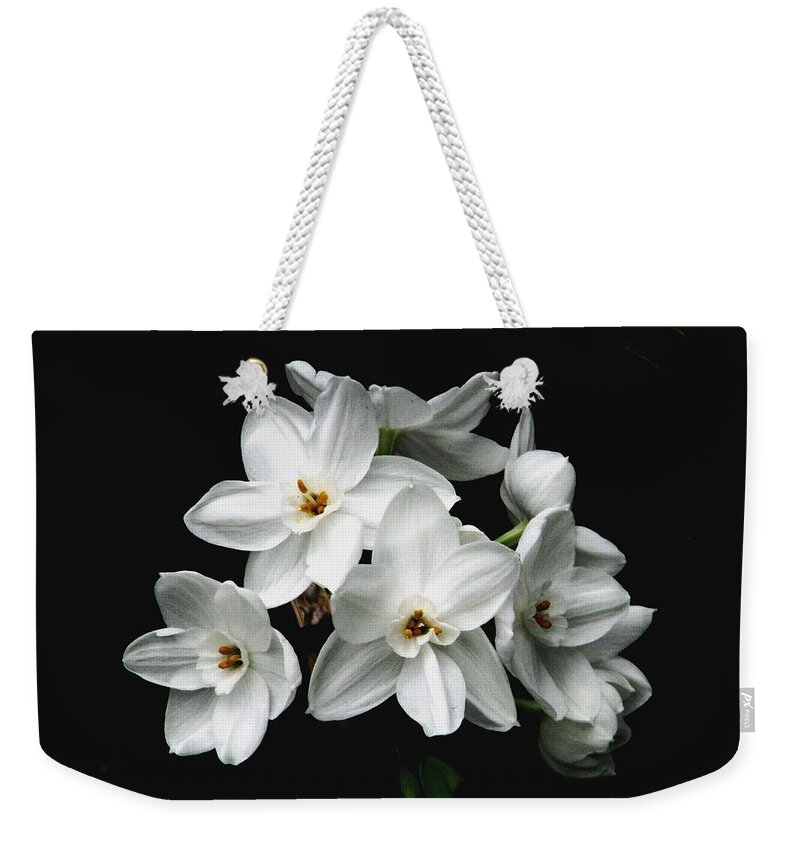 Narcissus Weekender Tote Bag featuring the photograph Narcissus The Breath Of Spring by Angela Davies