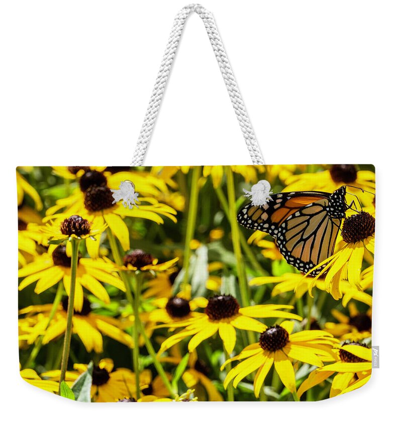 Wildlife Weekender Tote Bag featuring the photograph Monarch Butterfly on Yellow Flowers by Jason Fink
