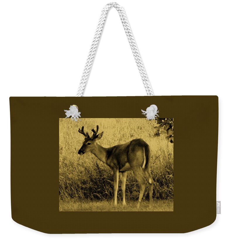 Wildlife Weekender Tote Bag featuring the photograph Natural Beauty- Vintage Version by Mary Wolf