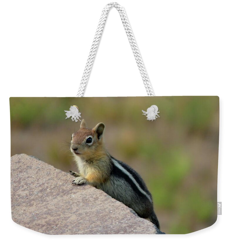 Golden-mantled Ground Squirrel Weekender Tote Bag featuring the photograph Natural Curiosity by Lyuba Filatova