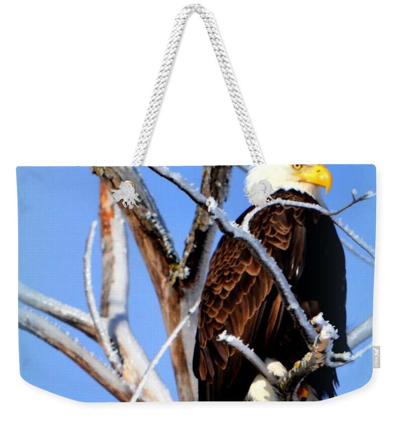  Weekender Tote Bag featuring the photograph Natural Freedom by Kimberly Woyak