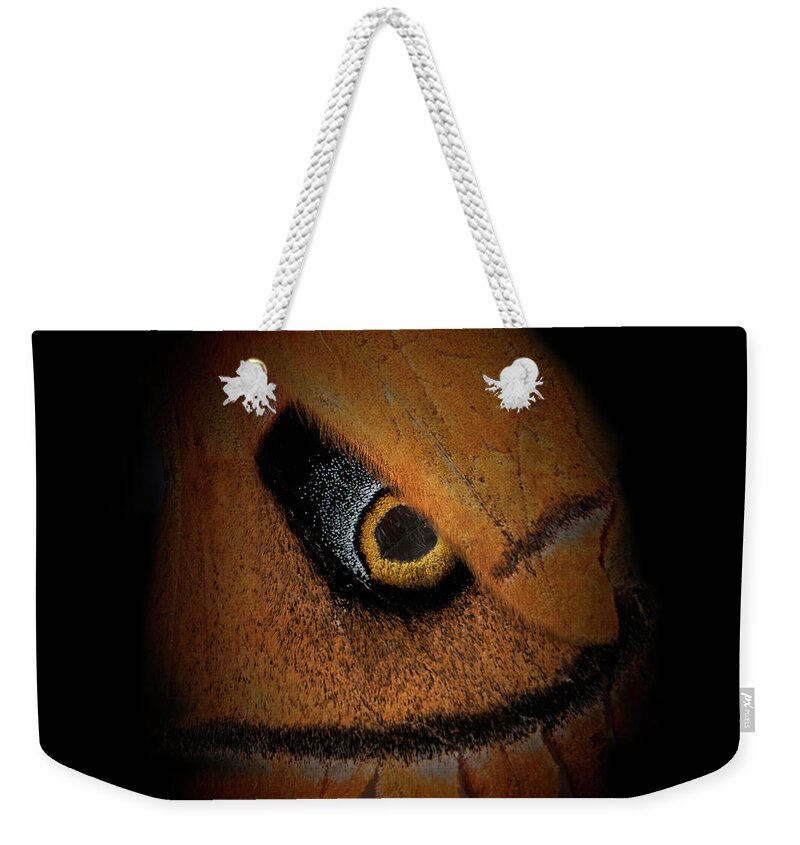 Butterfly Weekender Tote Bag featuring the photograph Nature Abstract by Phil Cardamone