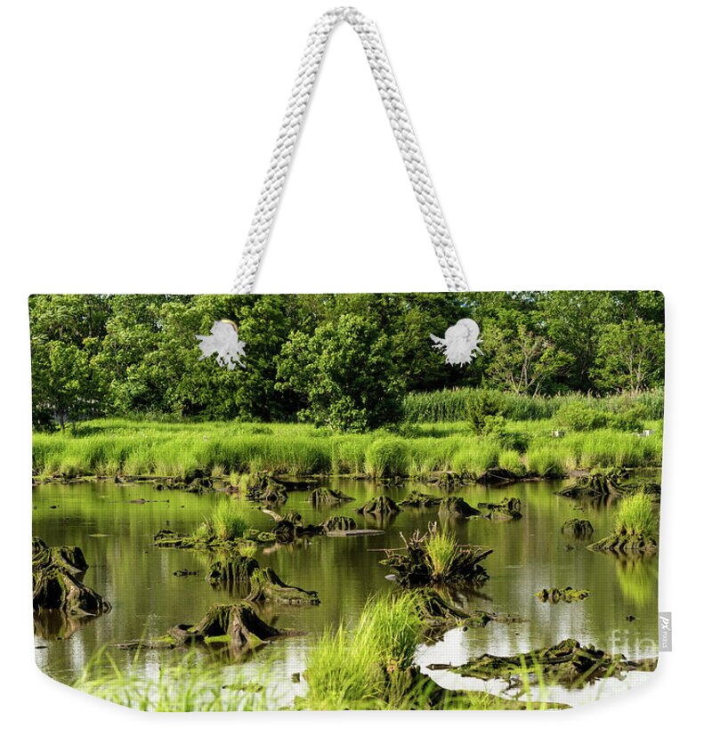 Grass Weekender Tote Bag featuring the photograph Nature preserve swamp by Sam Rino