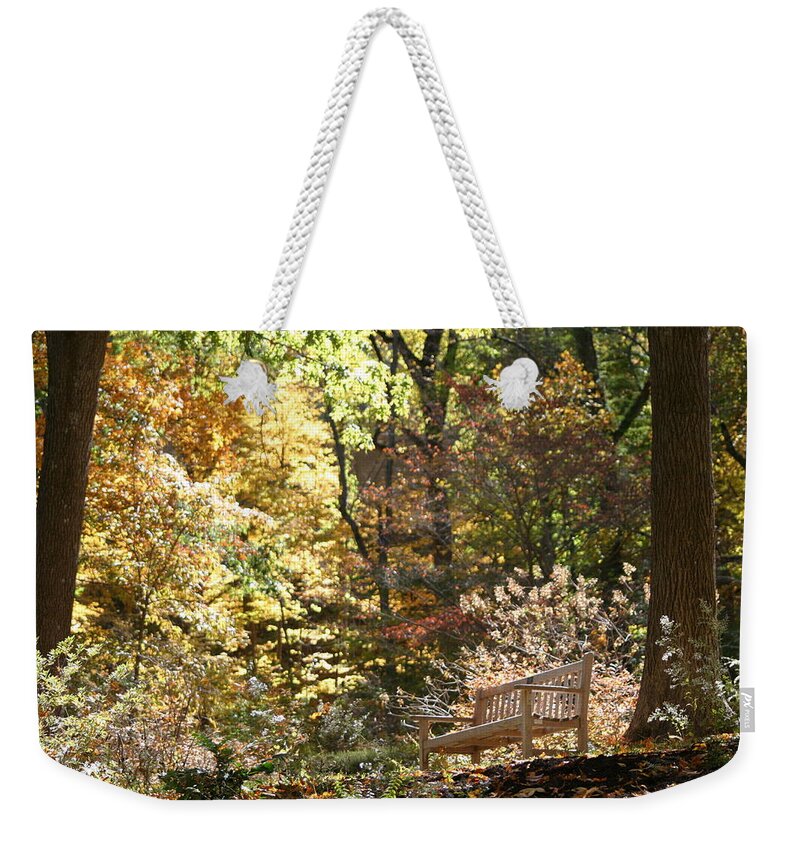 Autumn Weekender Tote Bag featuring the photograph Nature's Best Seat by Living Color Photography Lorraine Lynch