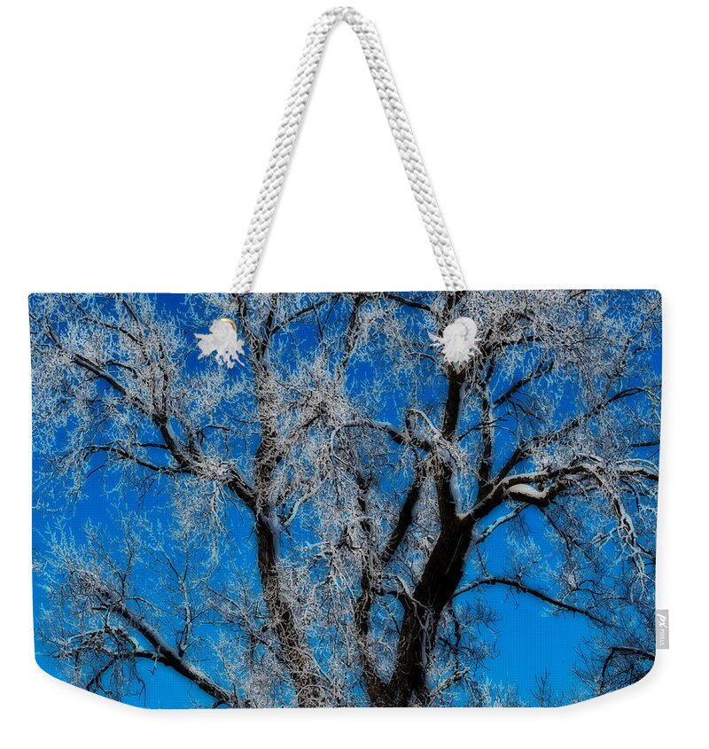 Standing Bear Lake Weekender Tote Bag featuring the photograph Natures Lace by Ed Peterson