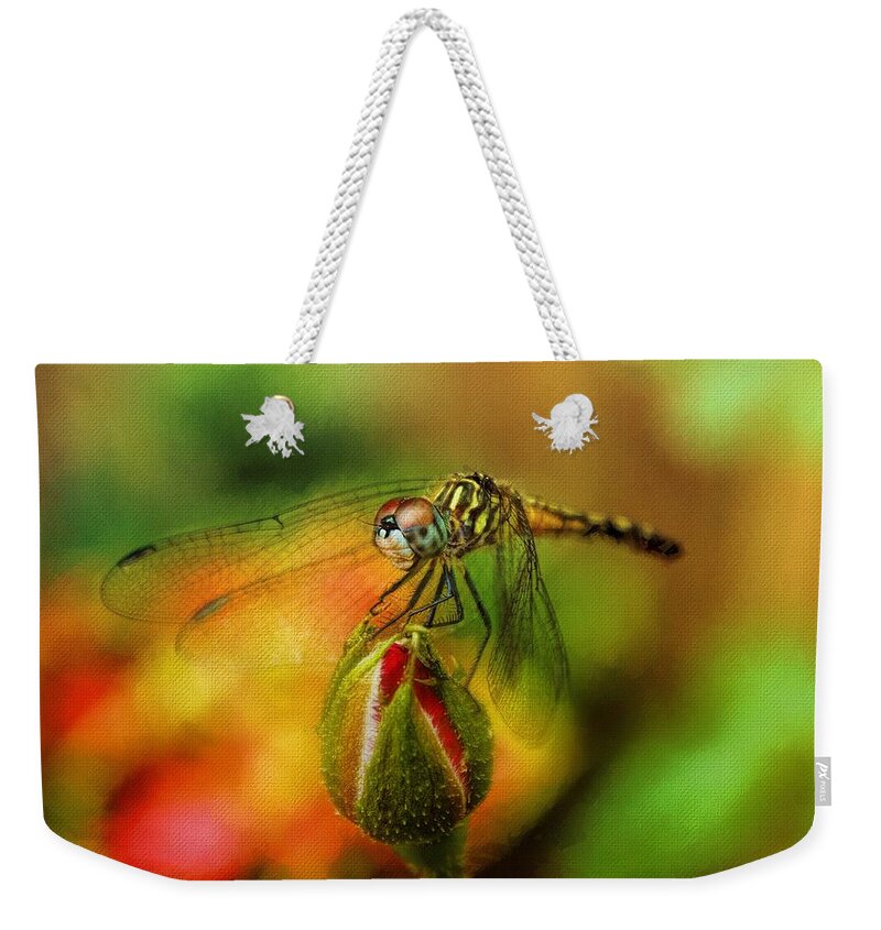 Dragonfly Weekender Tote Bag featuring the photograph Nature's Little Creatures by Ola Allen