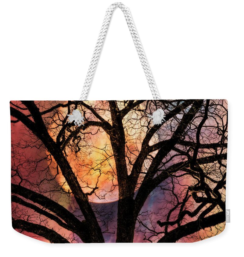 Appalachia Weekender Tote Bag featuring the photograph Nature's Stained Glass by Debra and Dave Vanderlaan