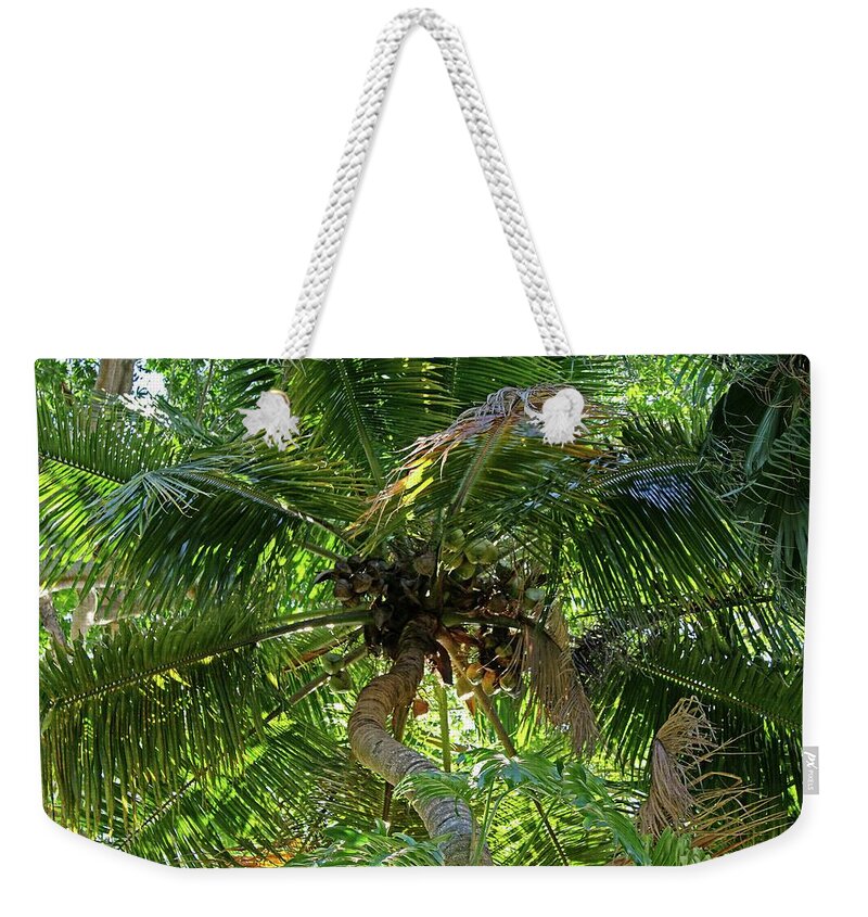Palm Tree Weekender Tote Bag featuring the photograph Nature's Umbrella by Michiale Schneider