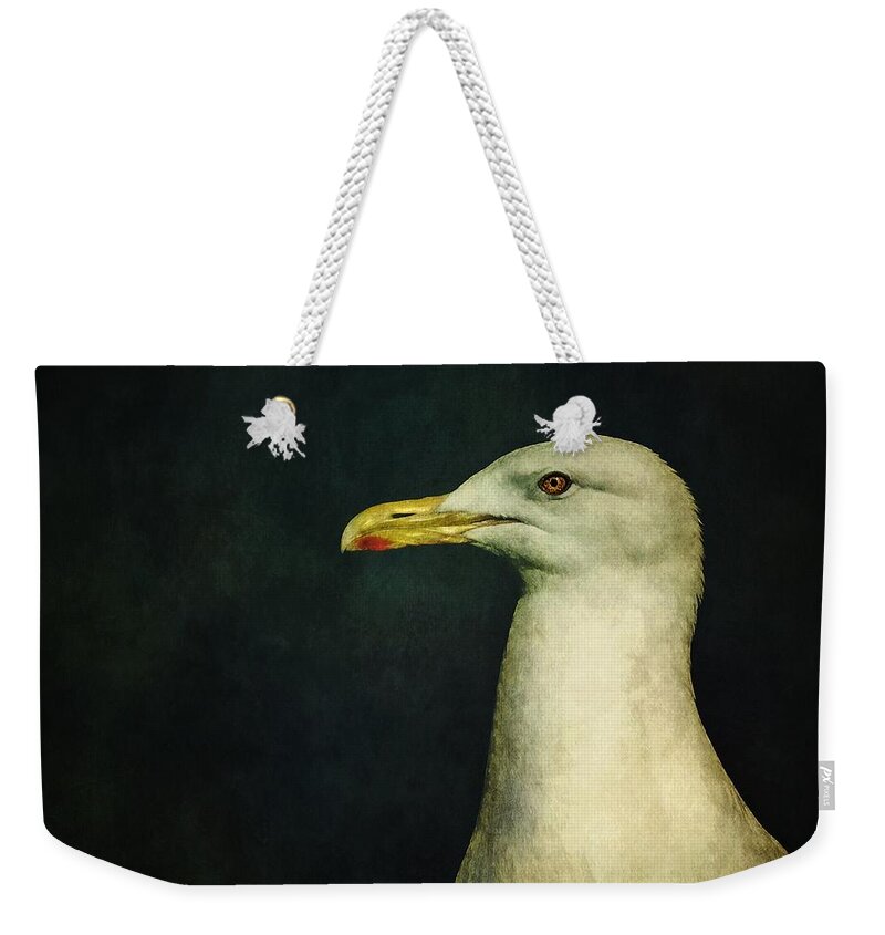 Seagull Weekender Tote Bag featuring the photograph Naujaq by Priska Wettstein