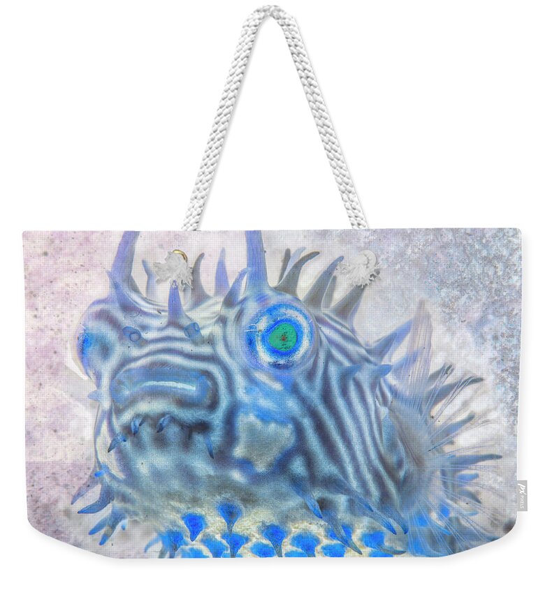 Florida Weekender Tote Bag featuring the photograph Nautical Beach and Fish #12 by Debra and Dave Vanderlaan