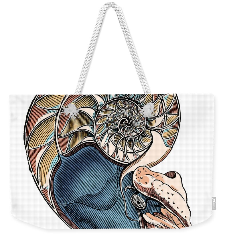 Nautilus Weekender Tote Bag featuring the photograph Nautilus, Cephalopod by Science Source