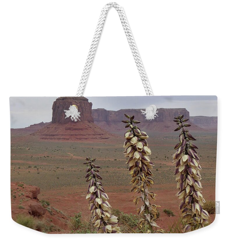 Desert Weekender Tote Bag featuring the photograph Navajo Territory by Gordon Beck