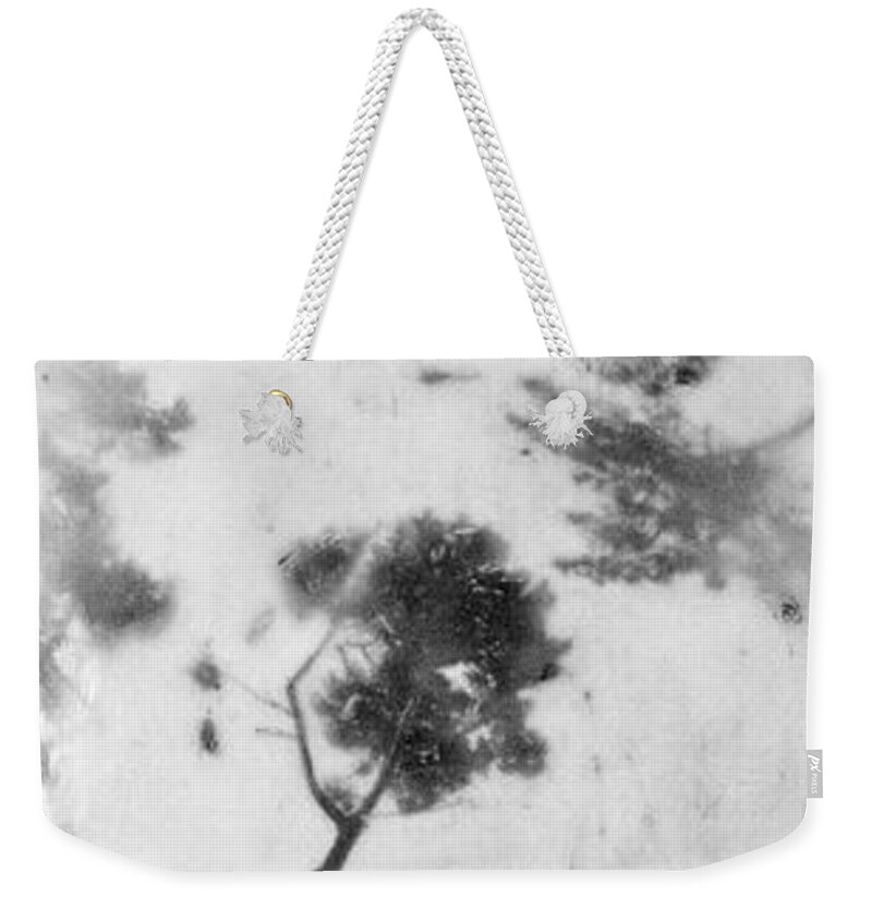 Encaustic Weekender Tote Bag featuring the mixed media Nebula Nature by Roseanne Jones
