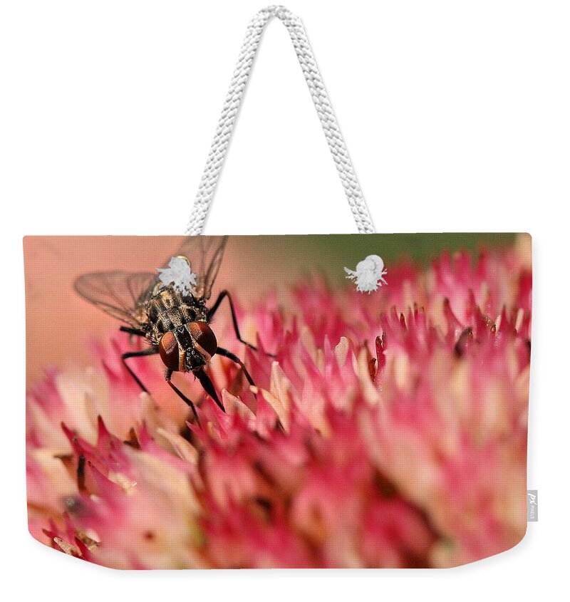 Fly Weekender Tote Bag featuring the photograph Nectar Hunt by Angela Rath