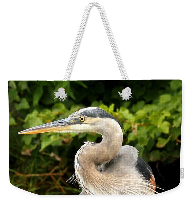 Bird Weekender Tote Bag featuring the photograph Thought you had my back by Heather King