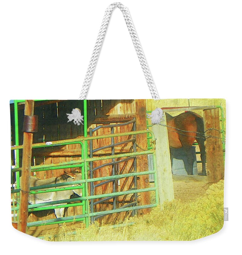 Expressive Weekender Tote Bag featuring the photograph Neighbors by Lenore Senior