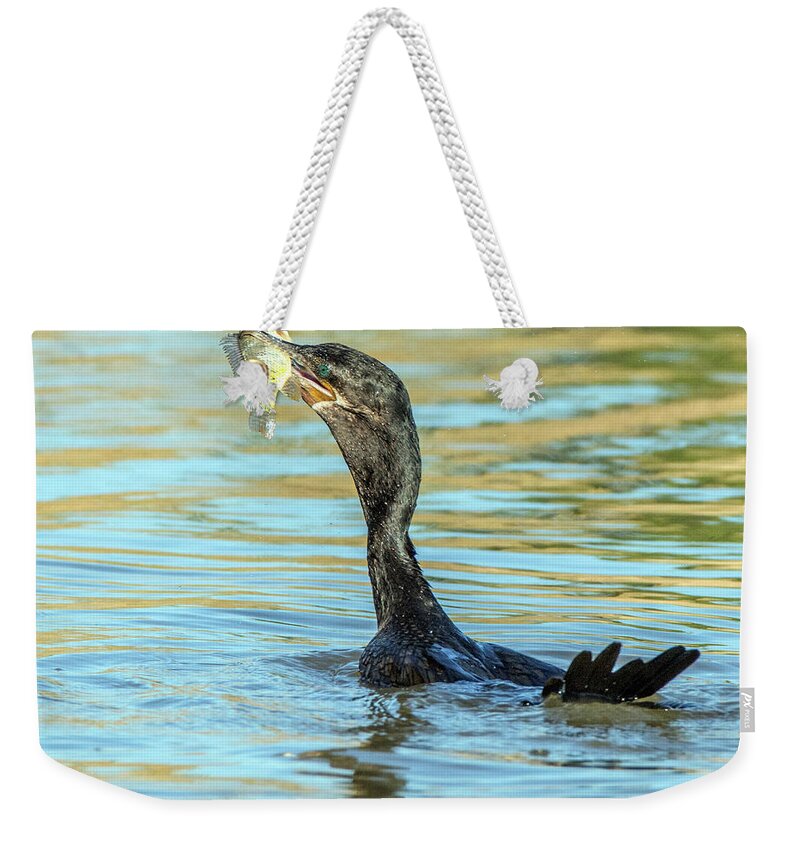 Neotropic Weekender Tote Bag featuring the photograph Double-crested Cormorant 0166-111017-1 by Tam Ryan