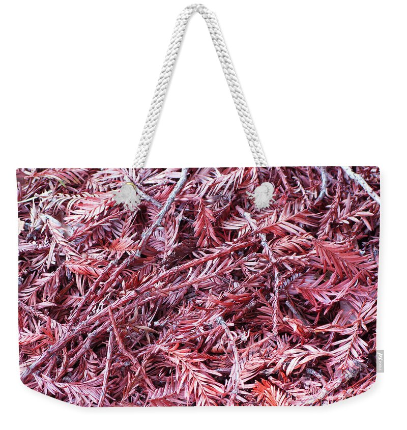 Leaves Weekender Tote Bag featuring the photograph Nestle into the Leaves by Mini Arora