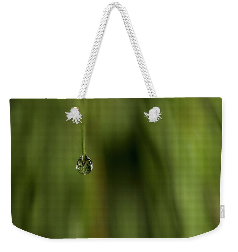 Water Drop Weekender Tote Bag featuring the photograph Never Let Go by Mike Eingle