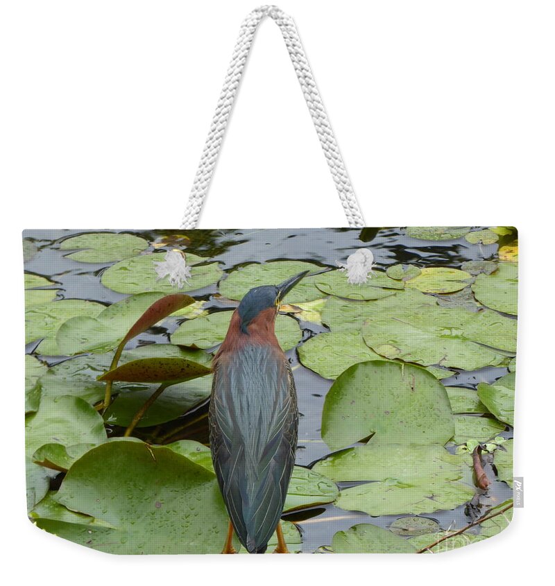 Nevis Weekender Tote Bag featuring the photograph Nevis bird observes by Margaret Brooks