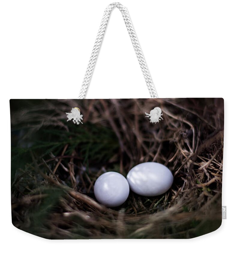 Egg Weekender Tote Bag featuring the photograph New Birth by Parker Cunningham