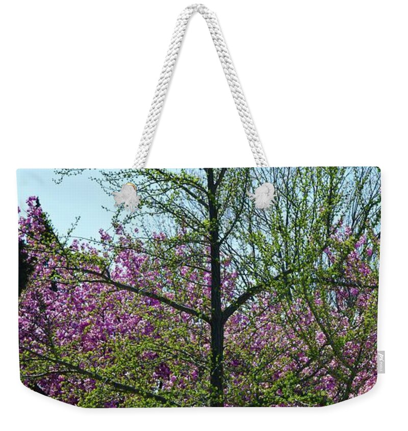 Barrieloustark Weekender Tote Bag featuring the photograph New Growth by Barrie Stark