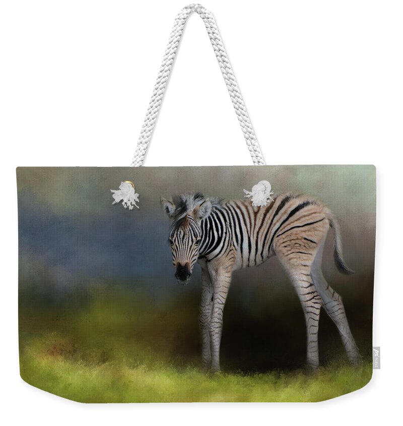 Jai Johnson Weekender Tote Bag featuring the photograph New Life 2 Baby Zebra Wildlife Art by Jai Johnson by Jai Johnson