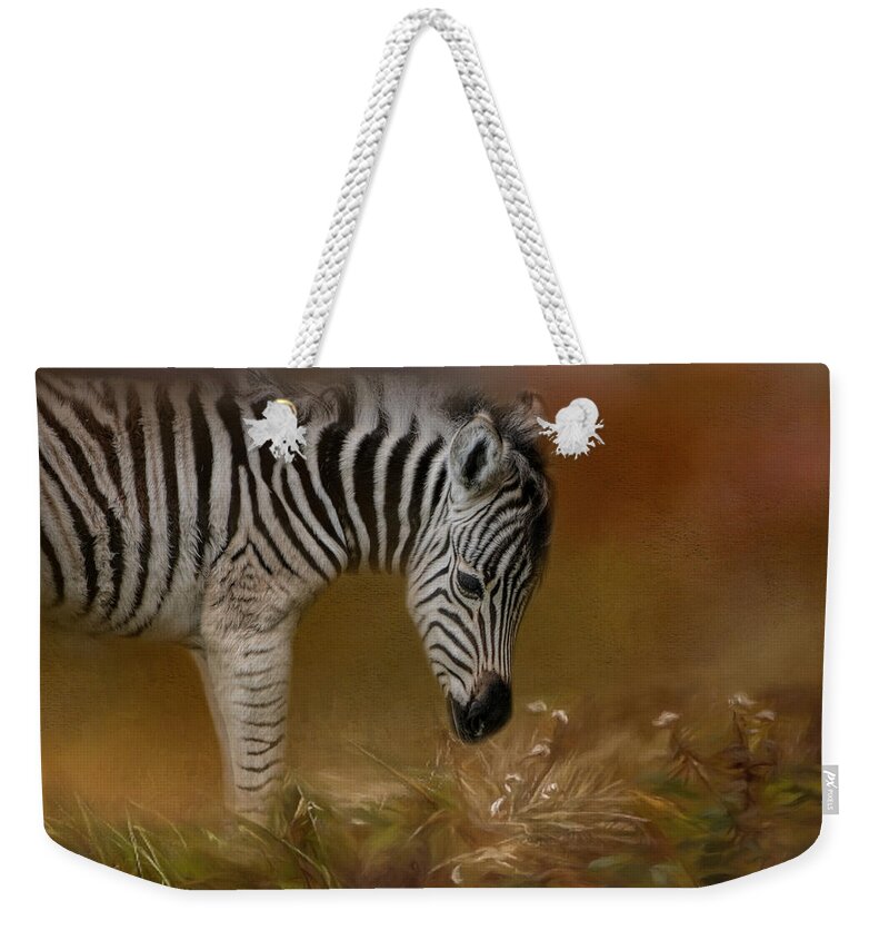 Jai Johnson Weekender Tote Bag featuring the photograph New Life Baby Zebra Wildlife Art by Jai Johnson by Jai Johnson