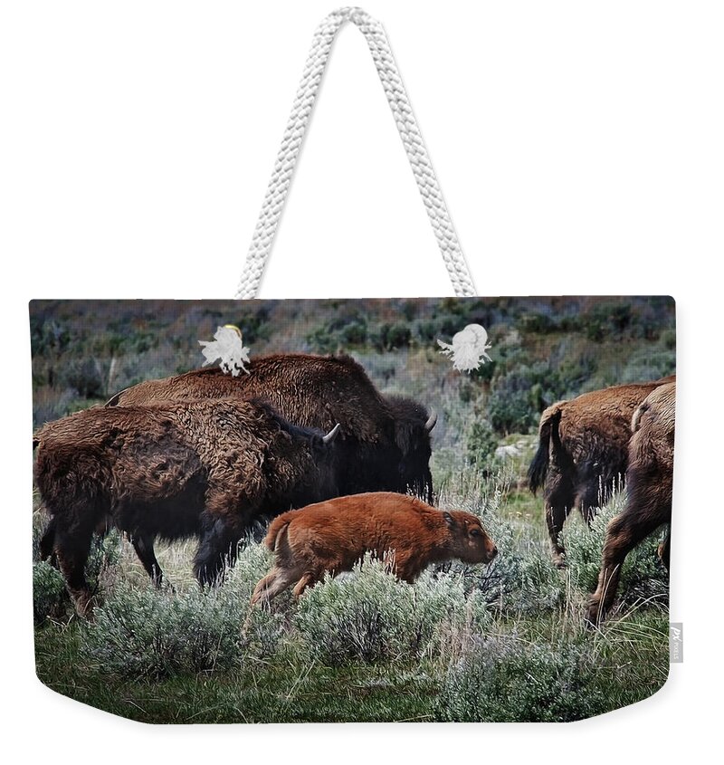 Animals Weekender Tote Bag featuring the photograph New life on the prairie by John Christopher