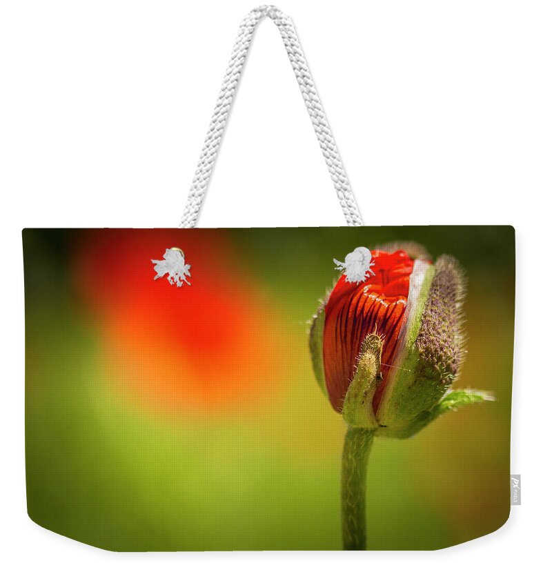 Agriculture Weekender Tote Bag featuring the photograph New Orange Poppy Bloom by Teri Virbickis