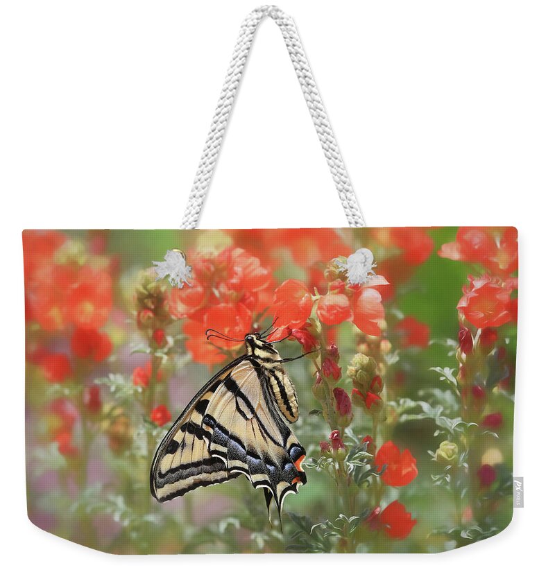 Torrey Weekender Tote Bag featuring the photograph New World by Donna Kennedy