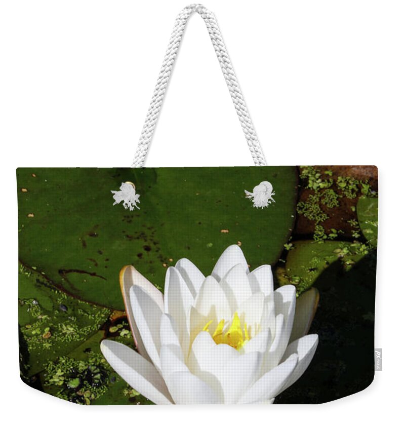 Lily Weekender Tote Bag featuring the photograph Next to You by Juergen Roth