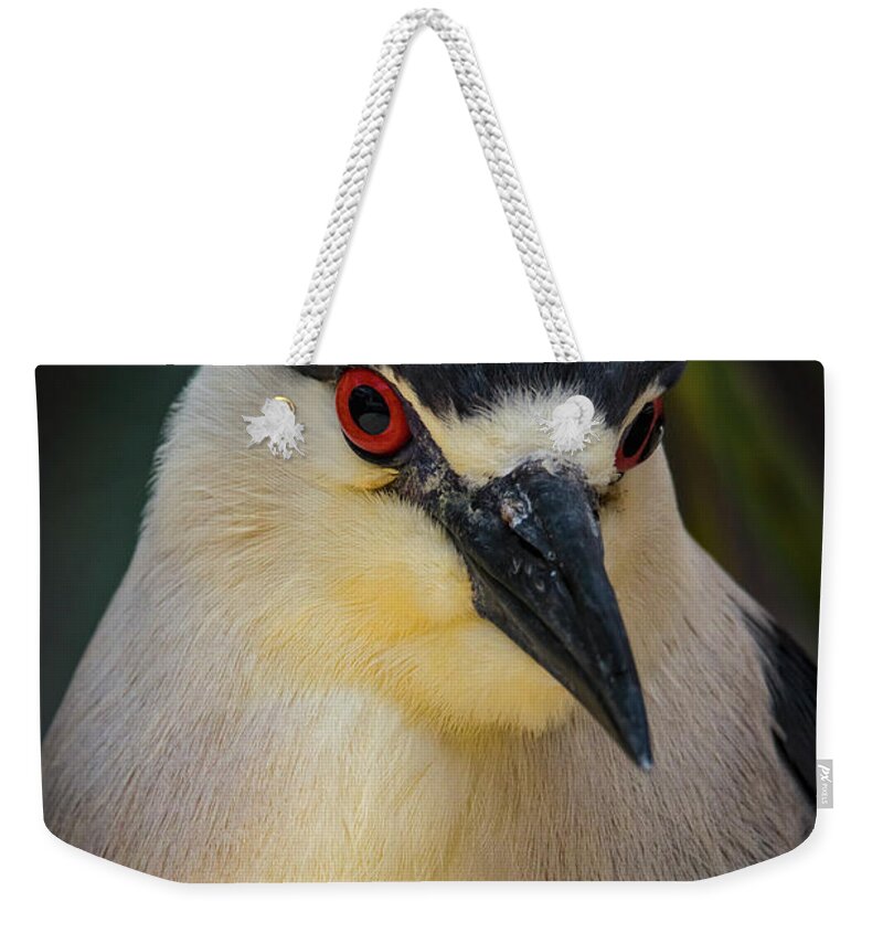 Night Heron Portrait Weekender Tote Bag featuring the photograph Night Heron Portrait by Mitch Shindelbower