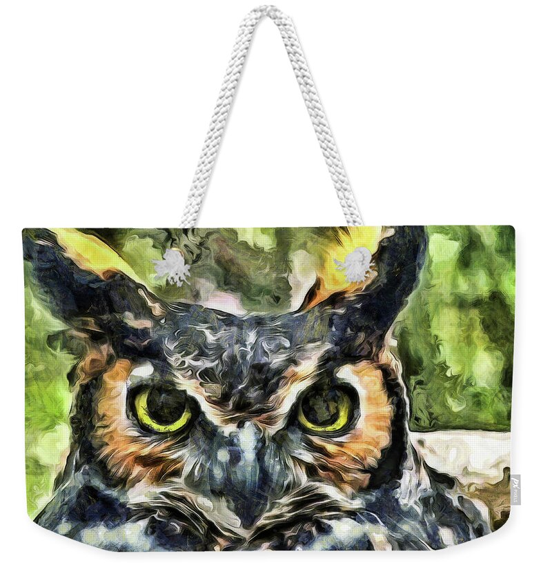 Owl Weekender Tote Bag featuring the mixed media Night Owl by Trish Tritz
