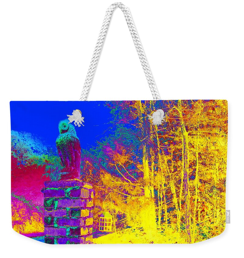 Owl Weekender Tote Bag featuring the photograph Night Owl Watch by Larry Beat
