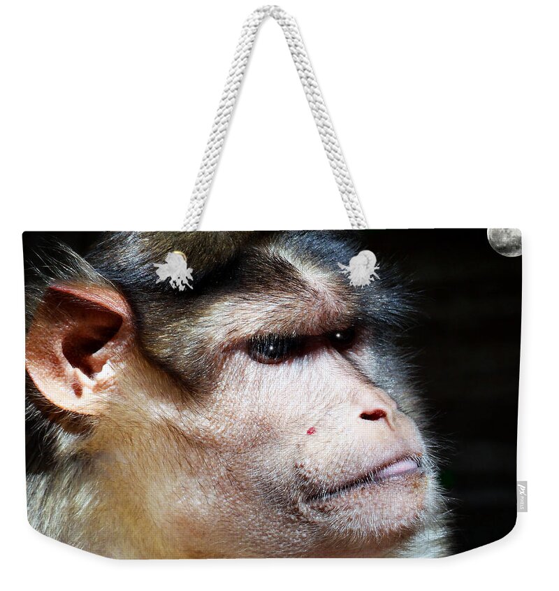 Speechless Weekender Tote Bag featuring the photograph Night Time by Dennis Dugan