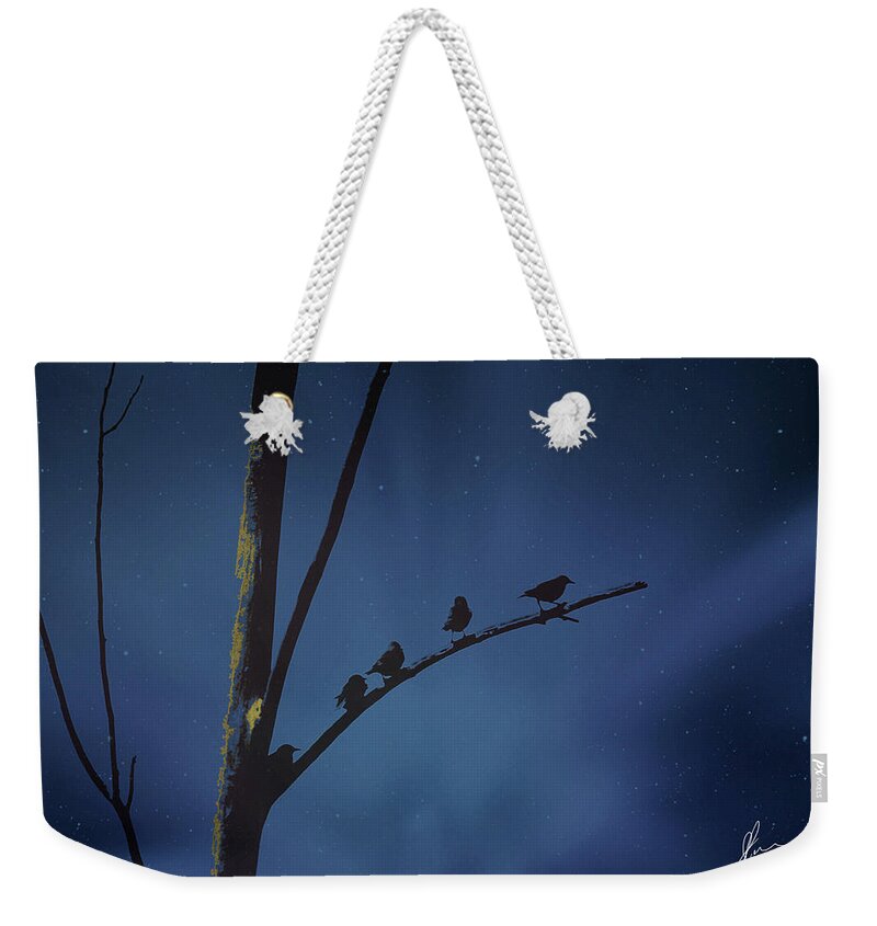 Night Weekender Tote Bag featuring the photograph Nightfall by Jackson Pearson