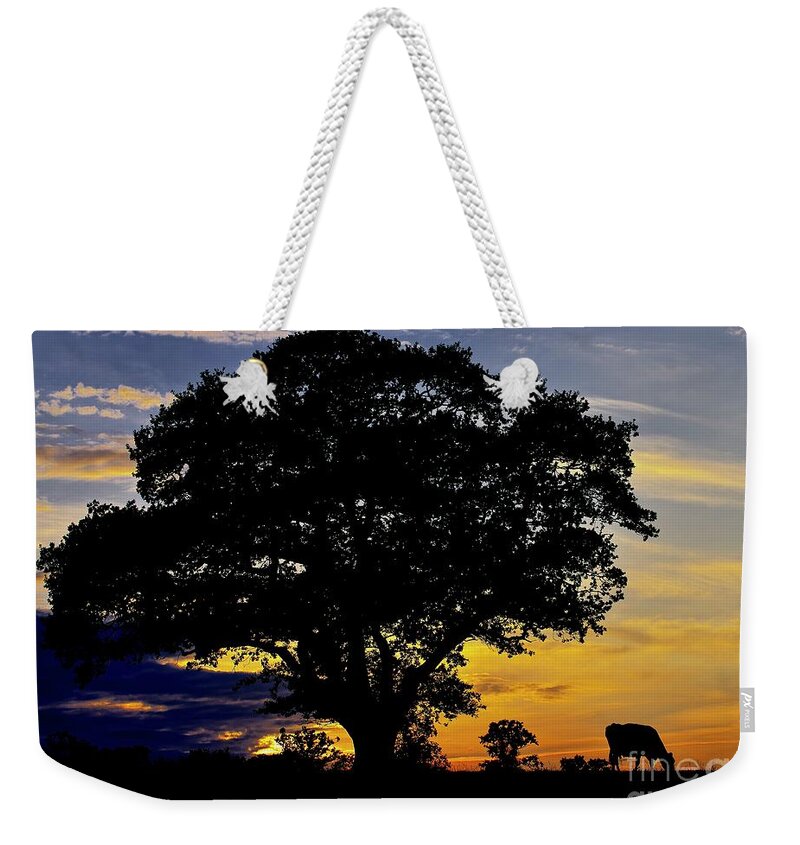 Sunset Weekender Tote Bag featuring the photograph Nightfall on the Farm by Martyn Arnold